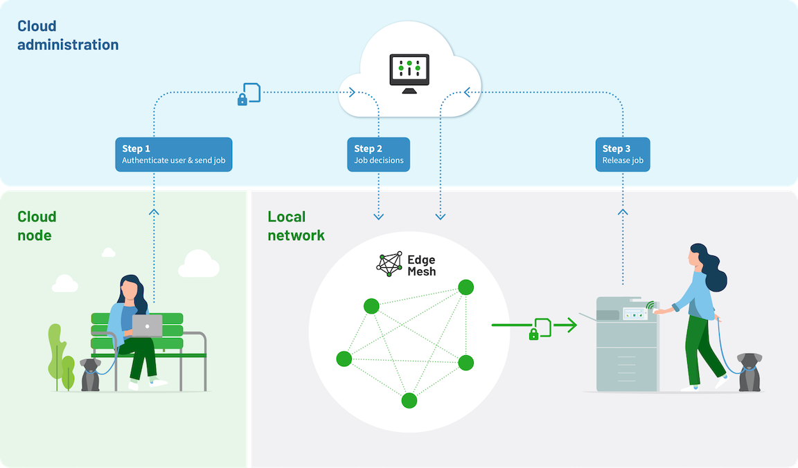 Printing from PaperCut Pocket and Hive with a Cloud Node, showing the path of metadata and job data