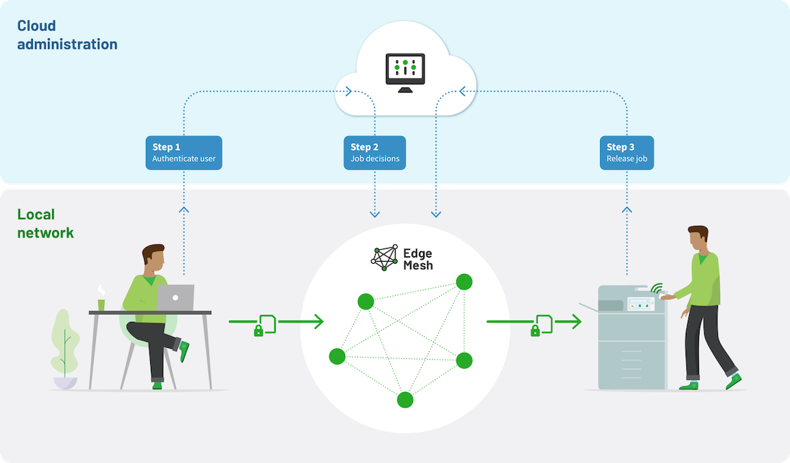 Printing from PaperCut Pocket and Hive without a Cloud Node, showing the path of metadata and job data